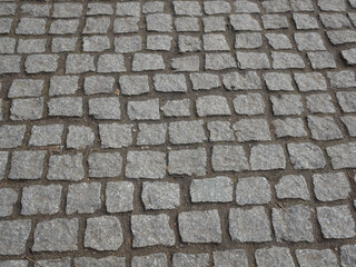 A fragment of a street lined with rows of cobblestones.