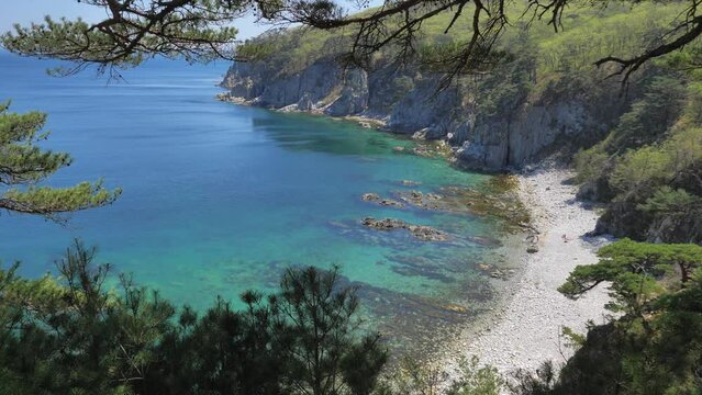 View from the pine grove on an amazing turquoise sea in marine reserve. Unique nature in stunning seascape.