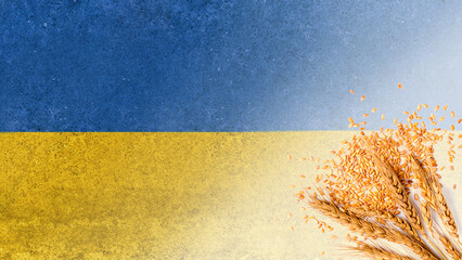 grain wheat and spikelets on a blue background. Ukrainian flag and grain and problems of blockade...