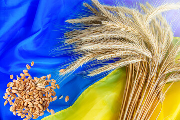 grain wheat and spikelets on a blue background. Ukrainian flag and grain and problems of blockade of ports	
 - obrazy, fototapety, plakaty