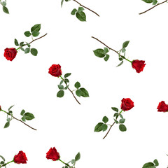 Roses isolated on white background, SEAMLESS, PATTERN