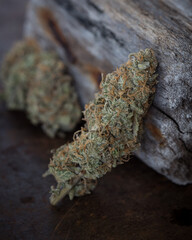 Cannabis buds dried and trimmed. Marijuana buds photographed in natural light. Close up with lots of detail. 