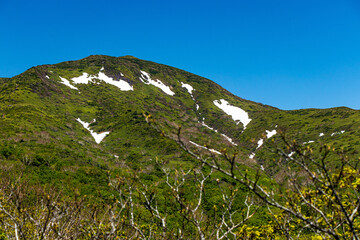 Fototapeta premium landscape in the summer