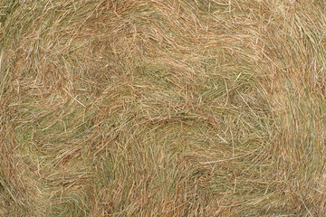 straw, dry straw, hay straw yellow background, hay straw texture