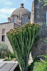 Ischia - Scorcio della cupola della Chiesa dell'Immacolata al Castello Aragonese