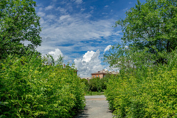 Fototapeta na wymiar A blue sky with clouds over the city and a path among green bushes leading to houses
