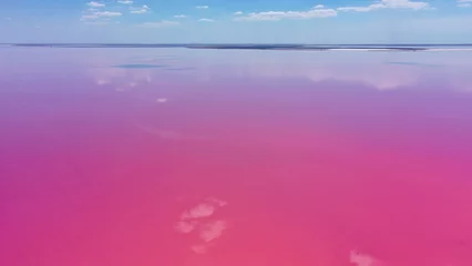 Foto op Aluminium Luchtfoto van zoutmeer met roze water, lagune Sivash, Oekraïne, recreatieplaats. Het meer wordt van nature roze door zouten en kleine schaaldieren Artemia in het water. © Andriy Medvediuk