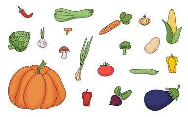 Colored ripe vegetables set. Seasonal healthy farm food. Vector illustration.