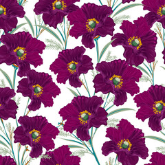Seamless floral pattern with Peonies flowers Vector illustration
