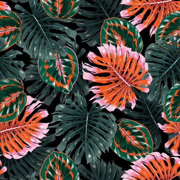Tropical Jungle hawaiian Monstera Leaves plants Seamless pattern Vector