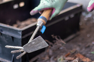 The gardener rakes the soil for planting. To work in the garden. Women's hands in gloves hold a garden tool and loosen the ground, caring for and growing garden plants. Plant a plant in the garden.