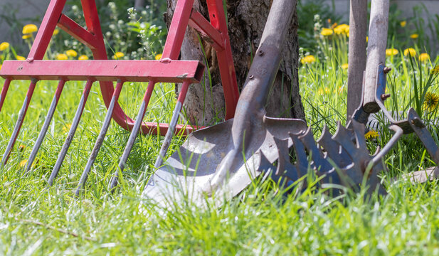 Gardening tools. Garden tools on the background of a garden in green grass. Summer work tool. Shovel, fork and baking powder stacked in the garden outside. The concept of gardening tools.