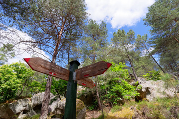 Trail signs in the circuit of the 25 bumps. Fontainebleau forest