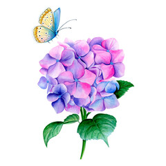A branch of lilac hydrangea with a butterfly. Executed in watercolor. It can be used on postcards, illustrations in magazines, gift bags.