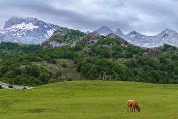 Fototapeta na wymiar Ermita del Buen Pastor, in the lakes of Covadonga, with the peaks of the Picos de Europa in the background, Asturias.