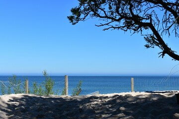 Ostsee - Polen - Wasser - Vögel - Holzstämme - Strand