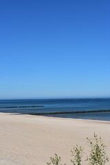 Ostsee - Polen - Wasser - Vögel - Holzstämme - Strand