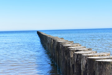Ostsee - Polen - Wasser - V&ouml;gel - Holzst&auml;mme - Strand