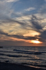 Ostsee - Polen - Wasser - Vögel - Holzstämme - Strand