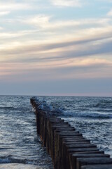 Ostsee - Polen - Wasser - Vögel - Holzstämme - Strand