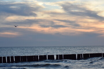 Fototapeta na wymiar Ostsee - Polen - Strand - Sonnenuntergang - Möven - Wasser
