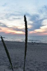 Ostsee - Polen - Möven - Wasser - Strand