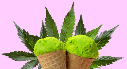 Green cannabis ice cream with cannabis green leaves on pink background wide web site banner.