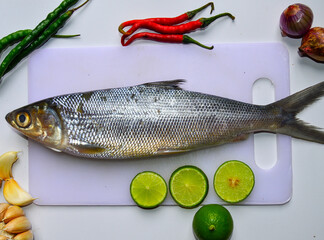 Fresh raw milkfish fish with white background. Seafood