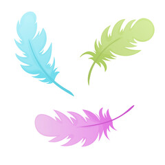 Colored feathers on white background. Vector illustration