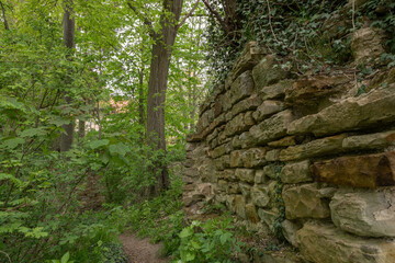 Fototapeta premium Alte dicke Mauern aus dem Mittelalter und viel frisches grün. Die Mauer gehört zu den Resten der Burg Wohldenberg auf dem Donnerberg