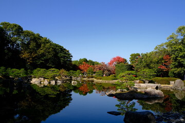 japanese garden in spring