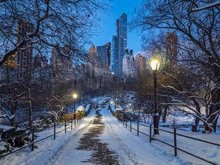 Photo sur Plexiglas Pont de Gapstow Central Park en hiver Pont de Gapstow