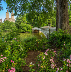 Bow bridge in late spring