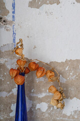 blue vase with dried flowers against the background of an old wall