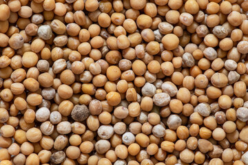 Close-up of a mustard seed texture and yellow mustard in glass cups