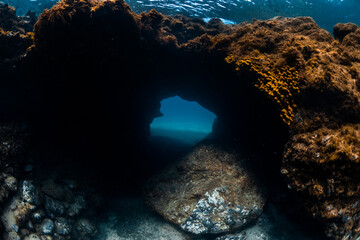 Underwater cave and reef with corals in blue ocean