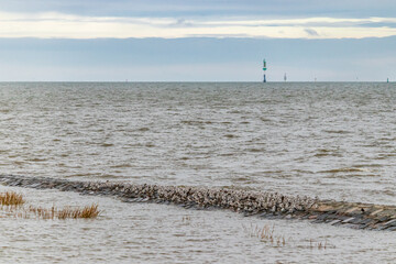 gulls and waterfowl on a breakwater on the north sea beach wadden sea cuxhaven