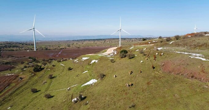 Aerial view of wind turbine farm in a grassland, a lake and mountain covered with snow in background, Golan Heights, Israel.