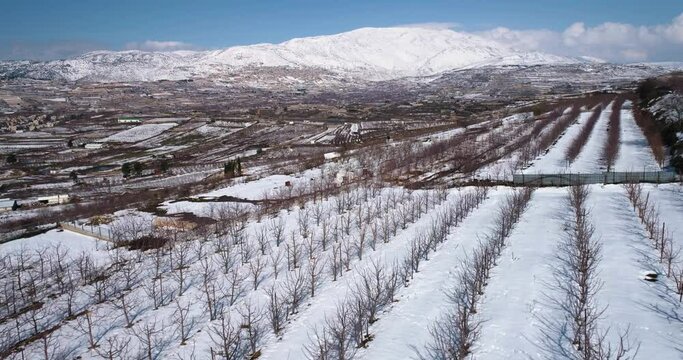 Aerial view of a dry vineyard in the snow, Golan Heights, Israel.