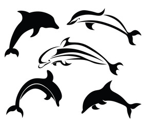 dolphin, fish, sea, ocean, mammals