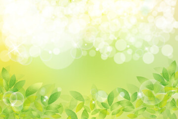 新緑と日差しのイメージ