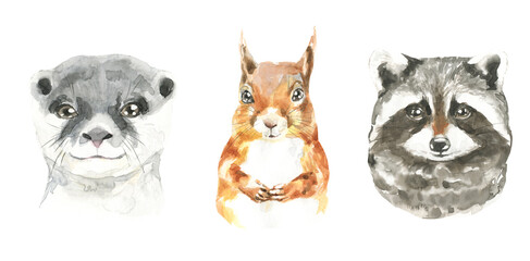 Watercolor woodland animal set of forest otter,squirrel, raccoon, isolated cute animals. Nursery woodland illustration. Bohemian boho animals for baby shower, nursery print, decor, greeting card