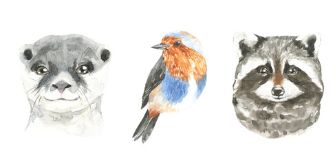 Watercolor woodland animal set of forest otter, bluebird, raccoon, isolated cute animals. Nursery woodland illustration. Bohemian boho animals for baby shower, nursery print, decor, greeting card