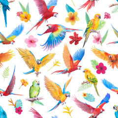 Beautiful Bird parrot Macaw and paradise flower of leaf hand painted watercolor seamless pattern © wirakorn