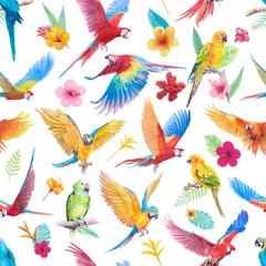 Fotobehang Vlinders Mooie vogel papegaai Ara en paradijs bloem van blad handgeschilderde aquarel naadloze patroon