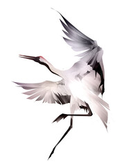 drawn bird crane with wings on a white background - 510408728