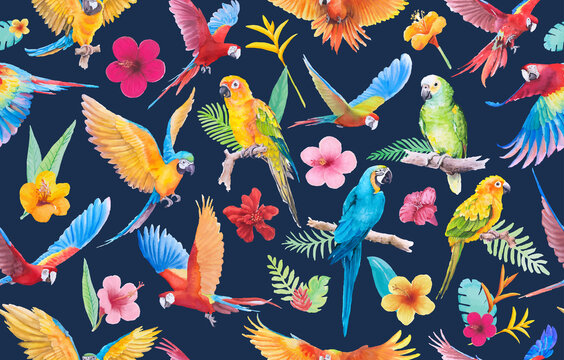 Beautiful Bird parrot Macaw and paradise flower of leaf hand painted watercolor seamless pattern