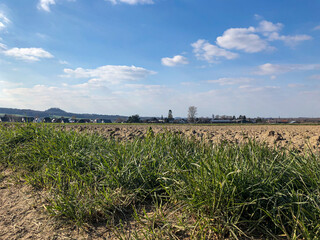 an agricultural field in germany