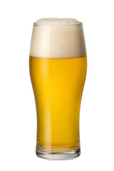 生ビール　クラフトビール
