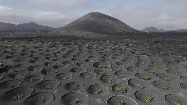 La Geria Lanzarote